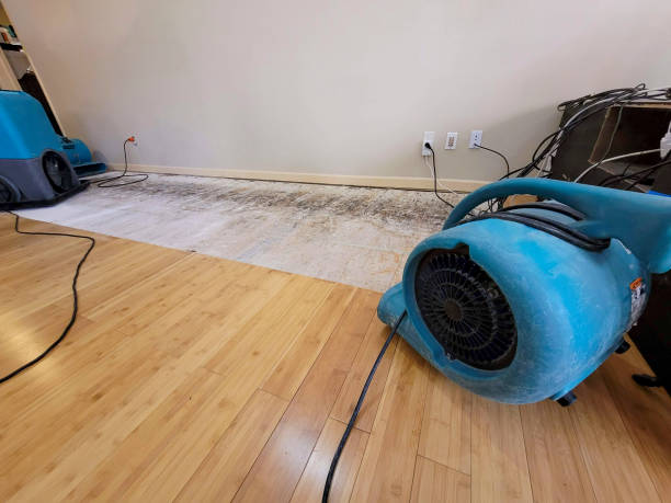 Professional Sewage Cleanup technician working in Julian, NC